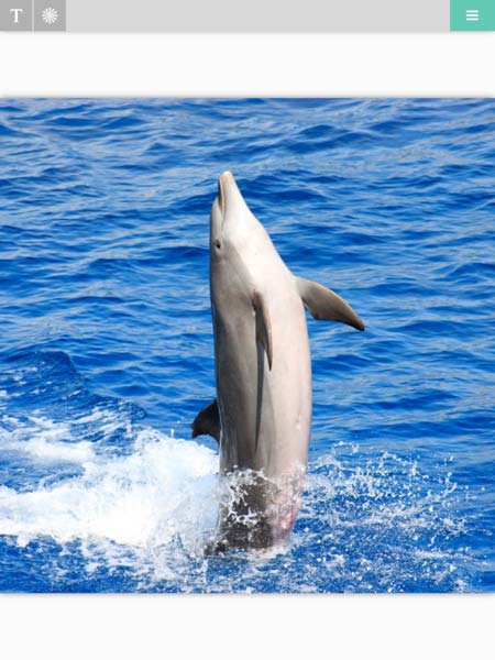 Foto elegida para editar en el Rhonna Designs