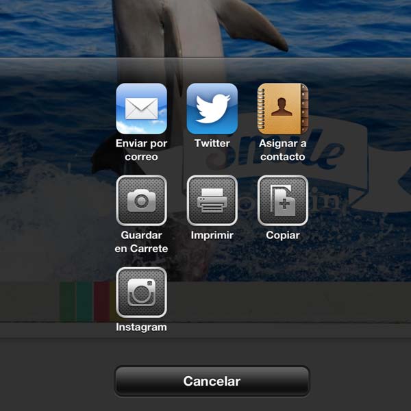 Comparte la foto resultado final de tu personalización con Rhonna Designs