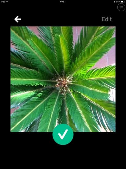 Editar con Vine