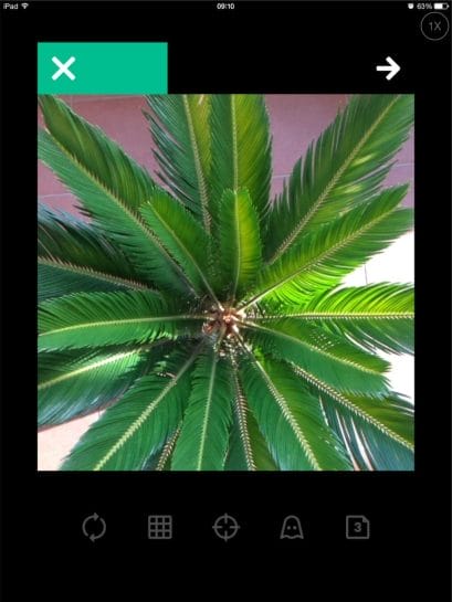 Vine: Sessions