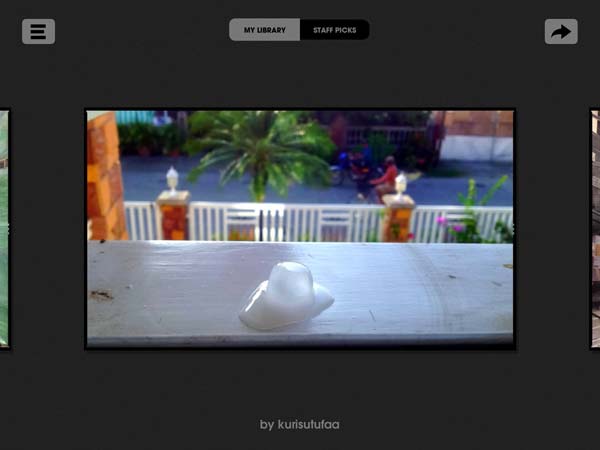 GIF animado seleccionado por los miembros de Echograph