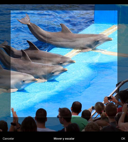 Flipagram te permite mover para encuadrar además de escalar las fotos