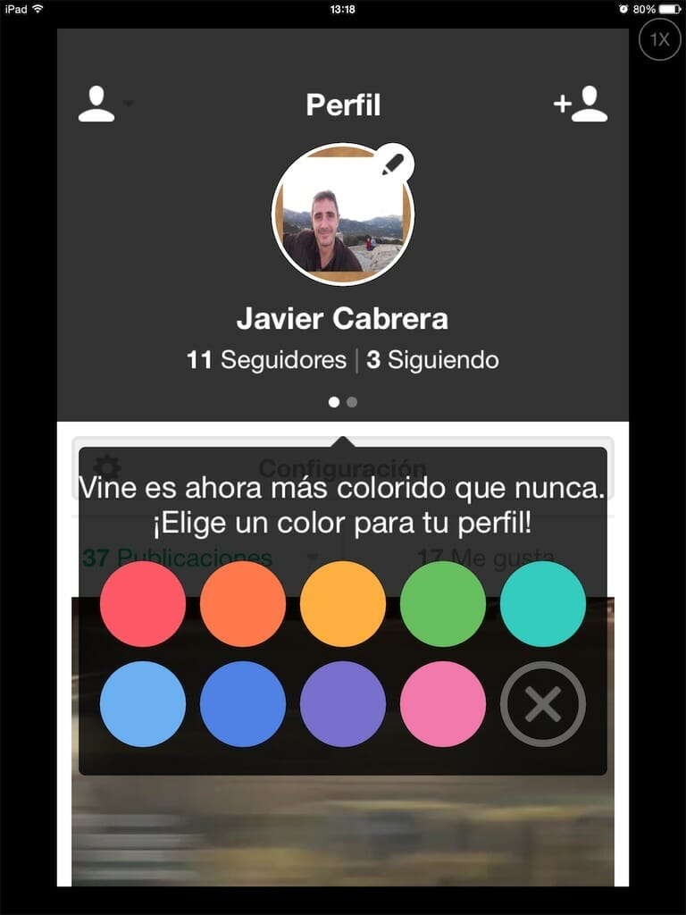 Vine personalizado con colores