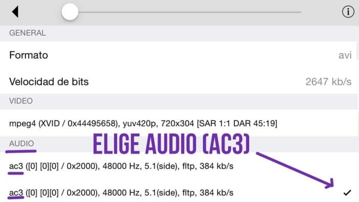 Pista de Audio AC3 en un AVI en iPad - Leef iBridge