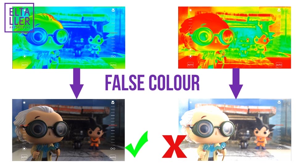 Herramientas profesionales en MAVIS para saber si tus grabaciones son correctas: Asistente de exposición False Colour