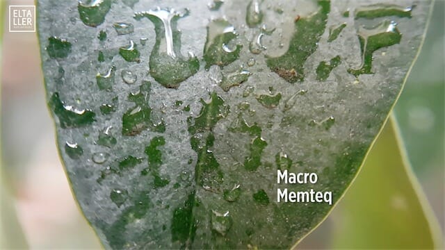 Lentes macro para móviles Android