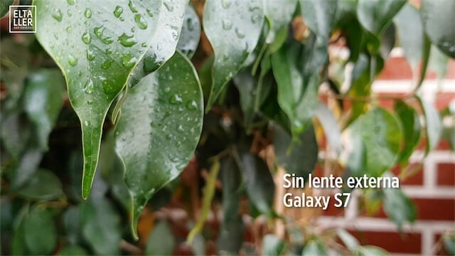 Lente Samsung Galaxy S7